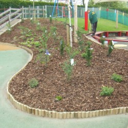 1_school-landscaping-1