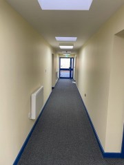 VPS12